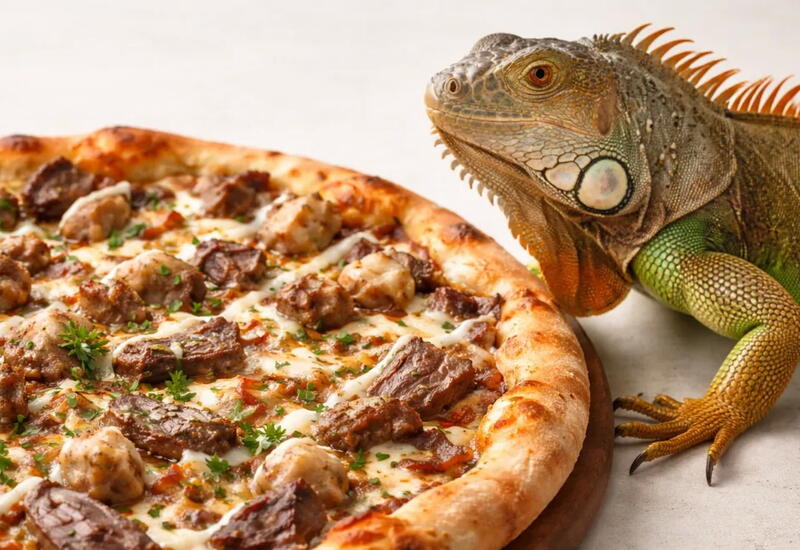 Во Флориде приготовили пиццу с игуаной: