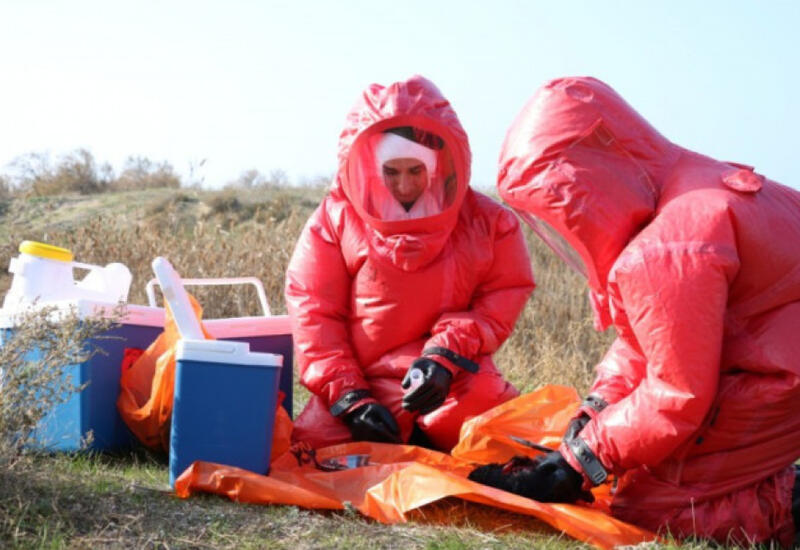 В Азербайджане проведут эпизоотологический мониторинг птичьего гриппа