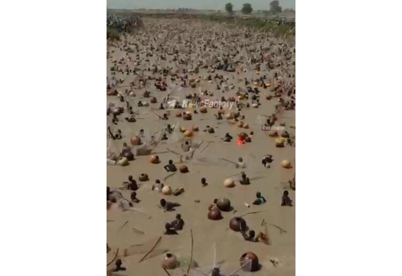 Рыболовный фестиваль в Нигерии возобновился после долгого перерыва