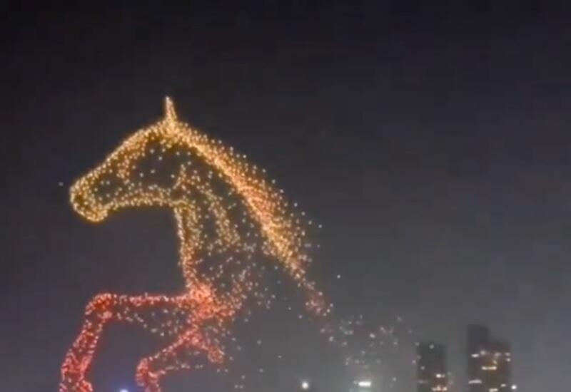 В Шэньчжэне огненная лошадь засияла в небе на Новый год