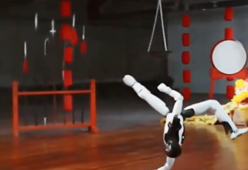 В Китае представили нового робота с навыками кунг-фу