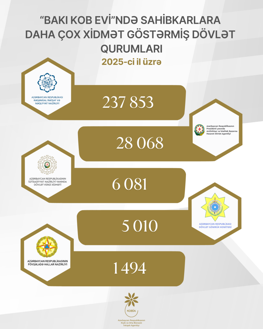 Sahibkarlar 2025-ci ildə daha çox hansı xidmətlərdən istifadə ediblər