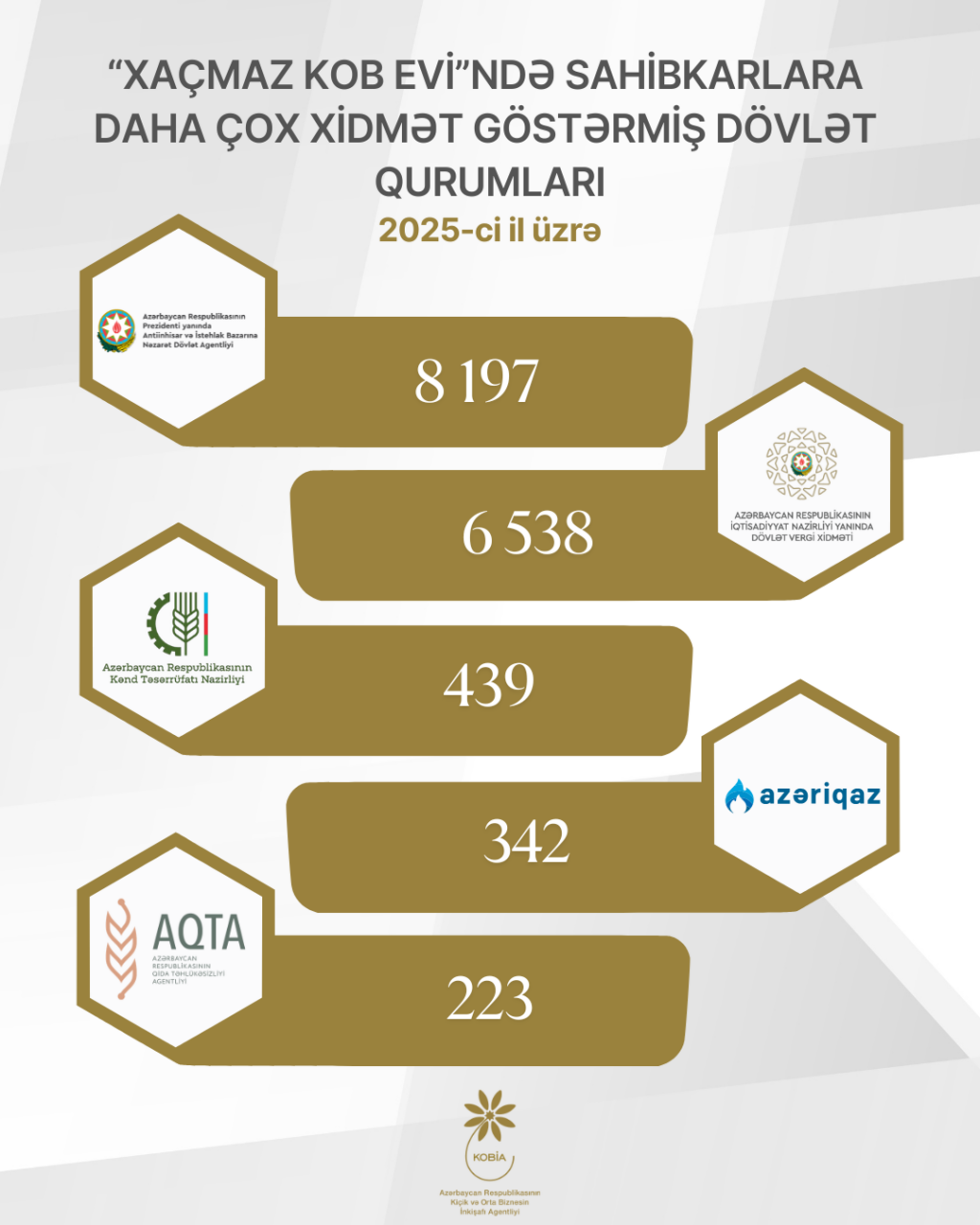 Sahibkarlar 2025-ci ildə daha çox hansı xidmətlərdən istifadə ediblər