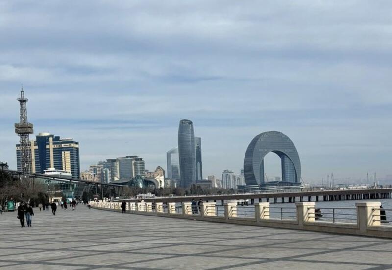 Фанаты "Ньюкасла" восхищены Баку