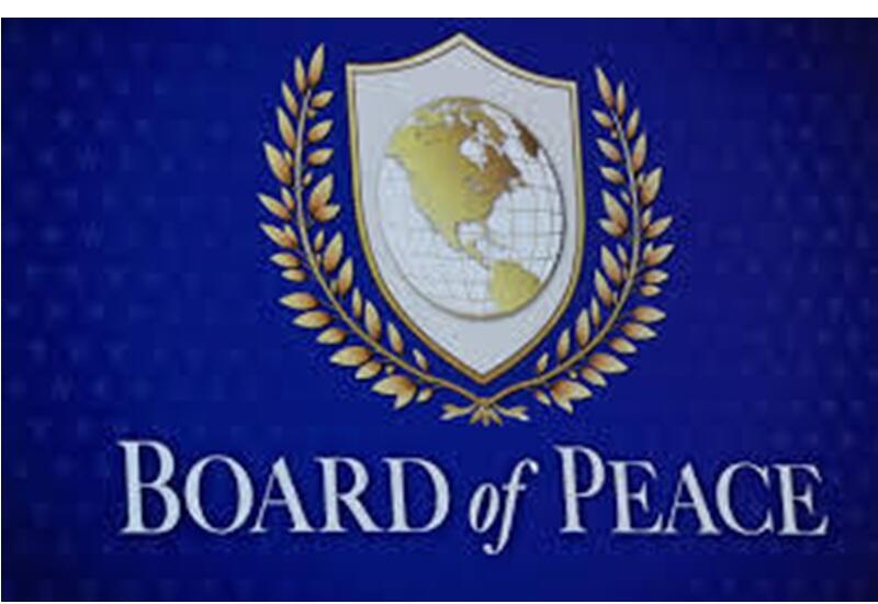 Sülh Şurasının qətnaməsi yekdilliklə qəbul edilib