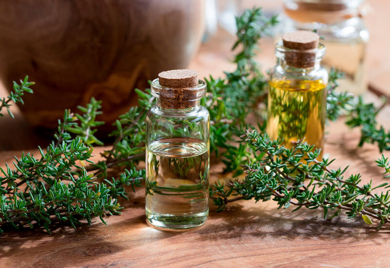 Найдена природная замена антибиотикам