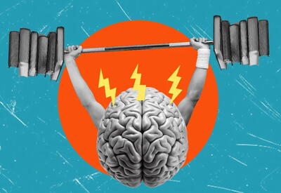 Ученые выяснили, какая ягода замедляет старение мозга