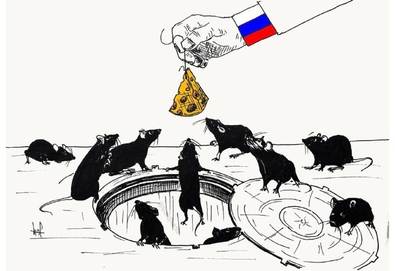 Крысы, вылезшие на спонсорский сыр