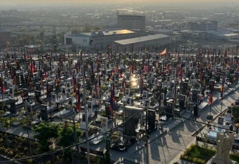 Реваншизм головного мозга: