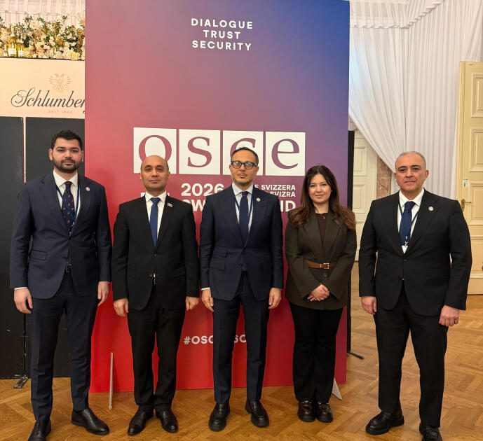 Делегация ТЮРКПА принимает участие в зимней сессии ПА ОБСЕ в Вене