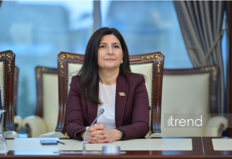 Vaşinqtondakı təxribat cəhdi məqsədli idi