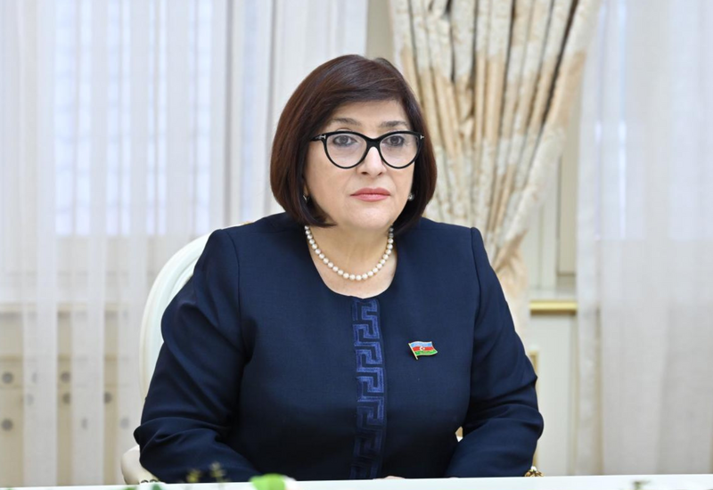 Сахиба Гафарова провела переговоры с председателем комитета парламента Грузии