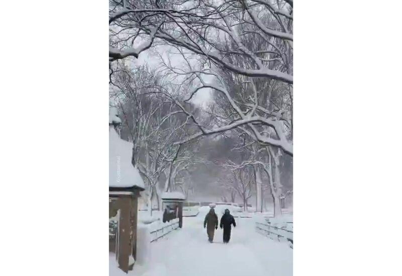 Снежная буря обрушилась на США