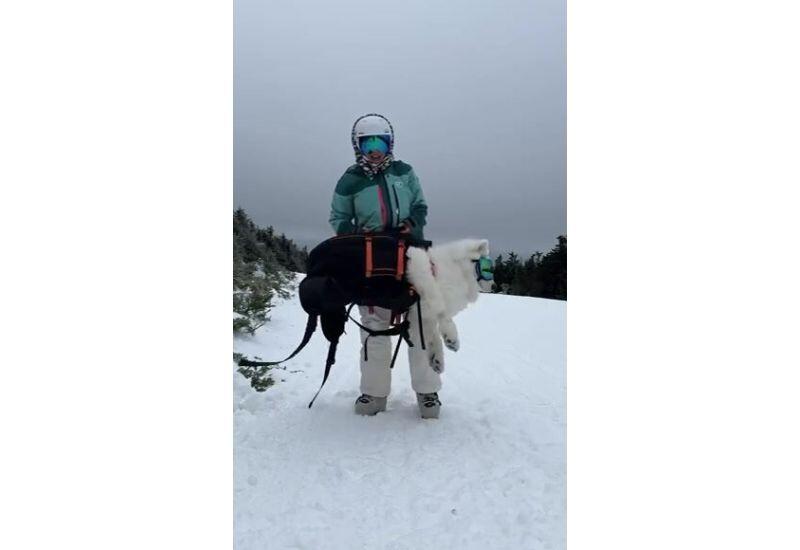 Девушка и ее пес на лыжах покорили соцсети