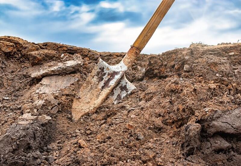 Странная находка под дубом встревожила пользователей сети