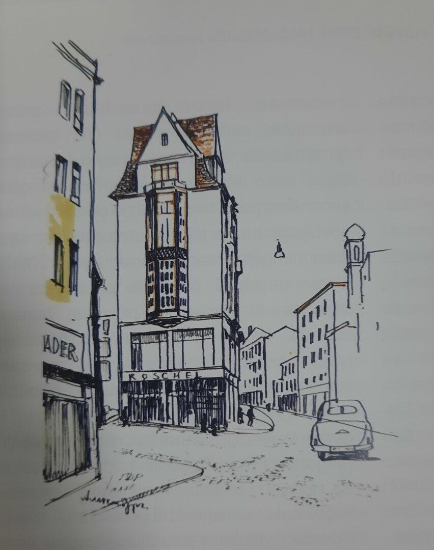 Невозмутимые верблюды пустыни Гоби и сказки азербайджанского села