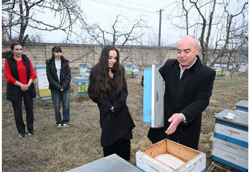 Leyla Əliyeva Qubada arıçı ailəsinin qonağı olub