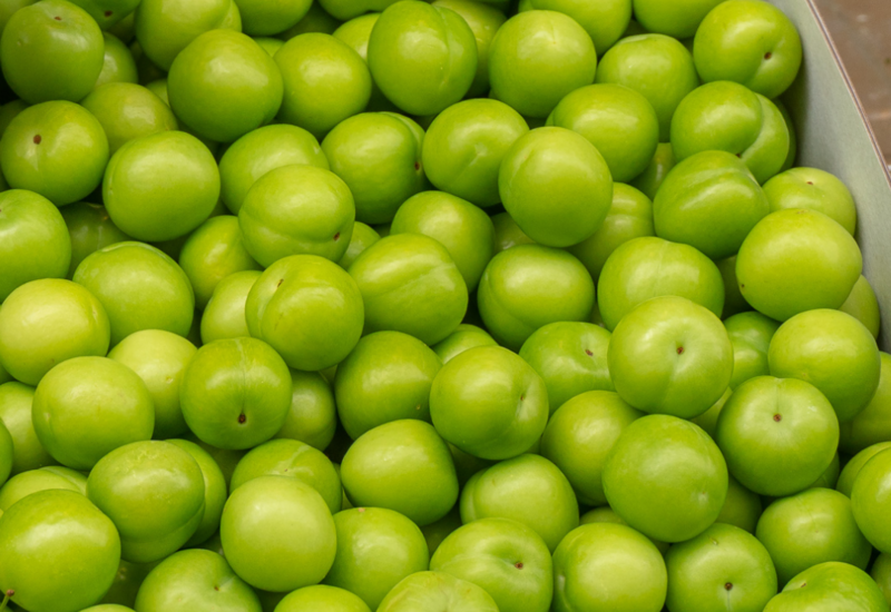 Рекордная цена на алычу удивила покупателей