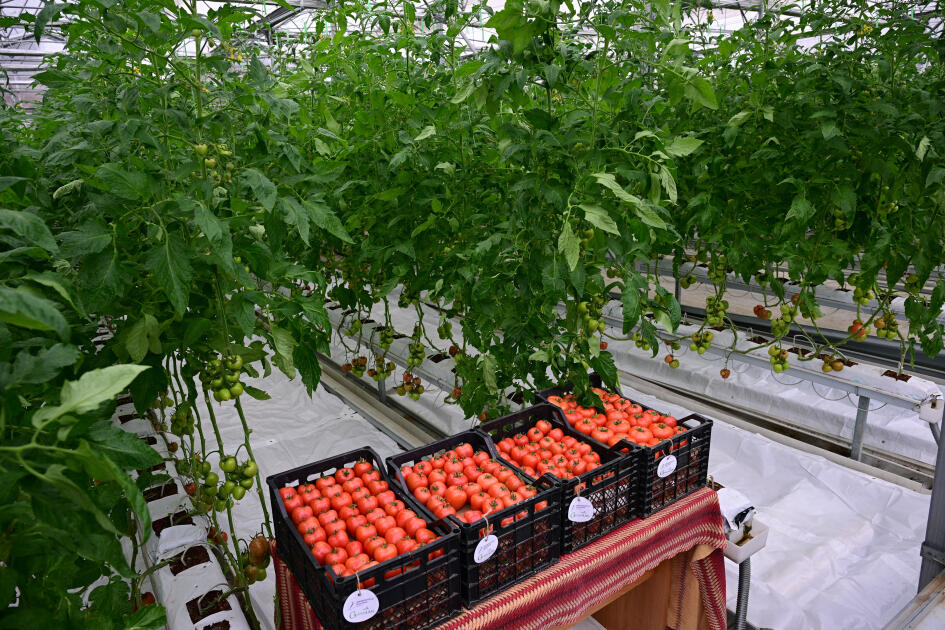 Prezident İlham Əliyev Lənkəran Dövlət Peşə Təhsil Mərkəzinin açılışında iştirak edib