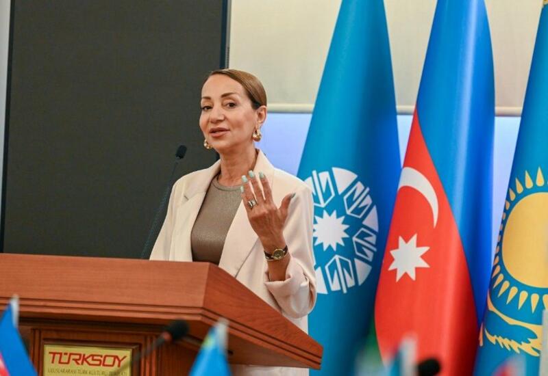 Инициированная Президентом Ильхамом Алиевым Концепция "Культура Азербайджана - 2040" станет основой долгосрочных преобразований в этой сфере