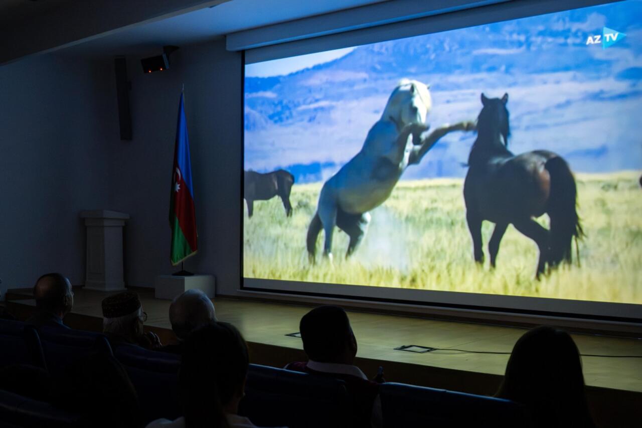 Историческая память Карабаха - объединяя язык изобразительного искусства и кино