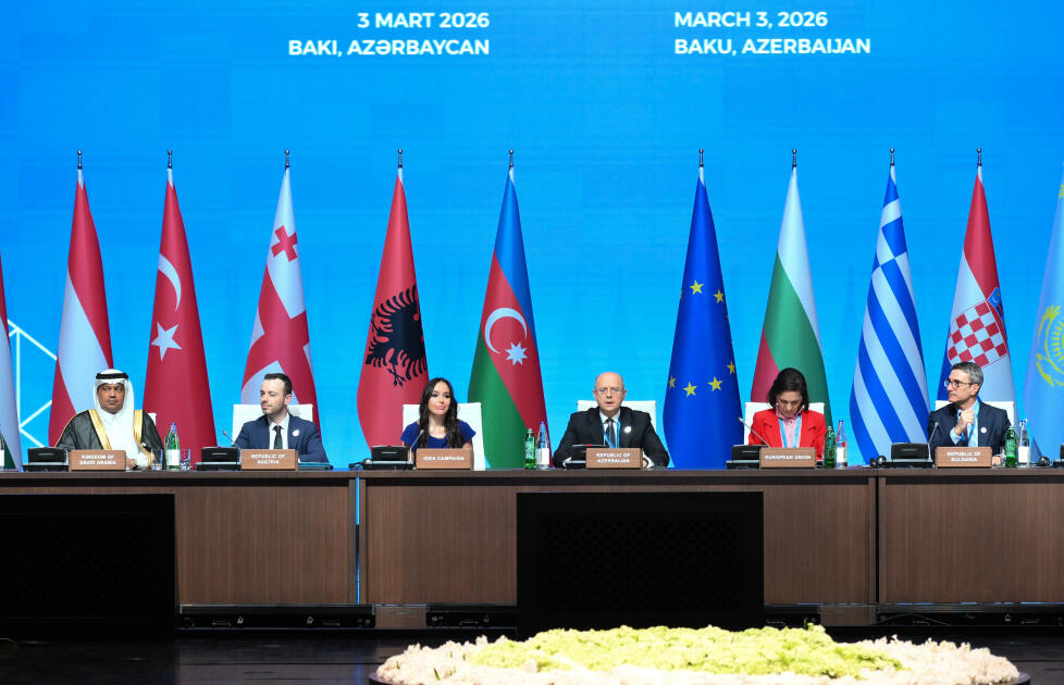 Leyla Əliyeva “Yaşıl enerji layihələri” sessiyasında çıxış edib