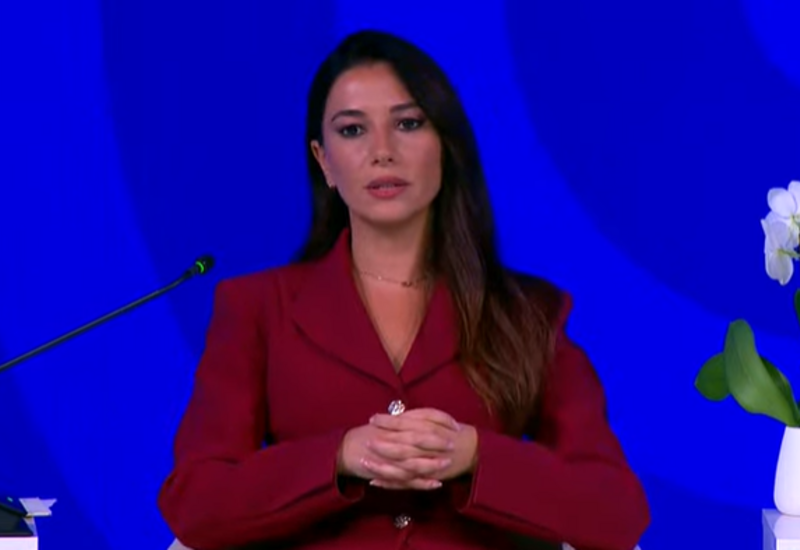 Министр о роли Грузии в рамках Южного газового коридора