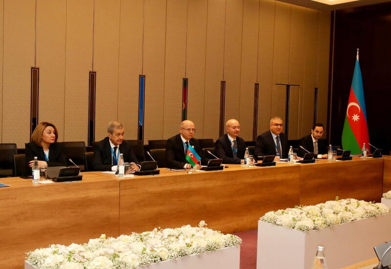 Обсуждено сотрудничество в энергетическом секторе Азербайджана и Австрии