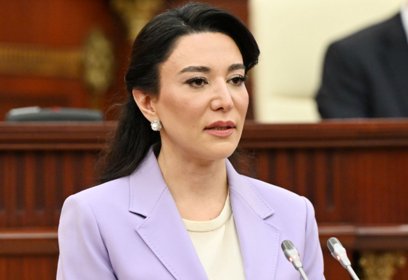 Milli Məclis Ombudsmanın məruzəsini qəbul edib