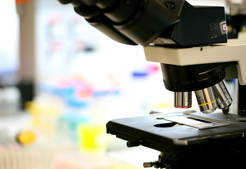 Ученые выделили 4 фактора, омолаживающие мозг