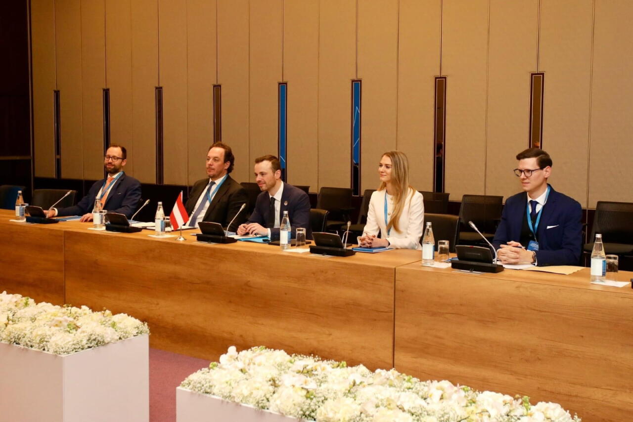 Обсуждено сотрудничество в энергетическом секторе Азербайджана и Австрии