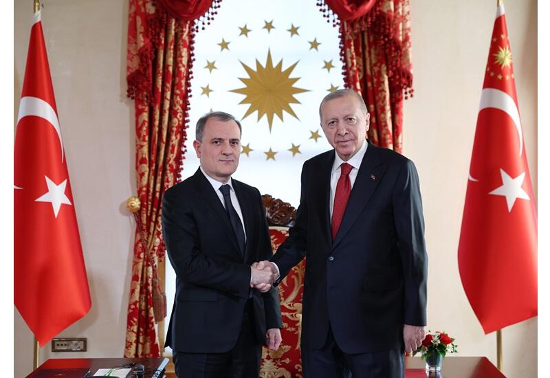 Эрдоган принял главу МИД Азербайджана