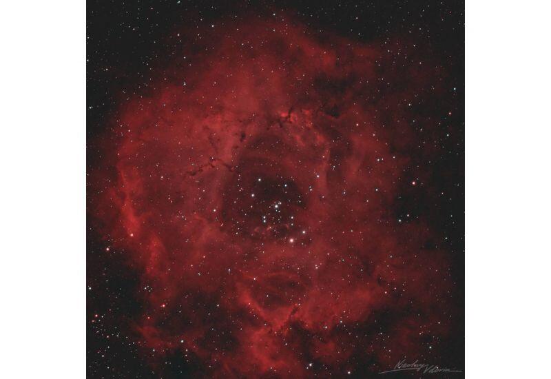 Космический букет к 8 Марта