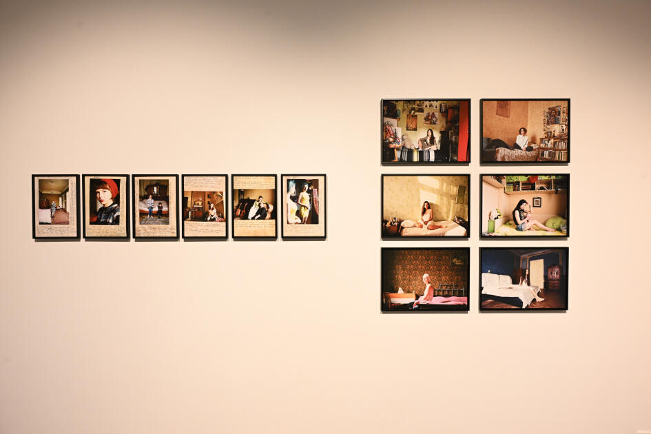 Leyla Əliyeva "Mənzərəyə açılan ev" mövzusunda qrup sərgisində iştirak edib