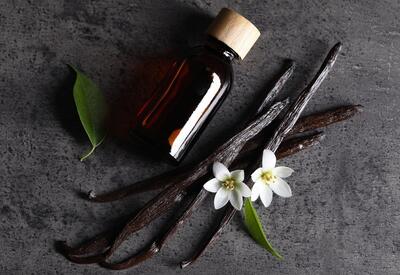 Ваниль, кофе и специи: <span class="color_red">парфюмеры 2026 года смешивают ароматы по законам кулинарии</span>