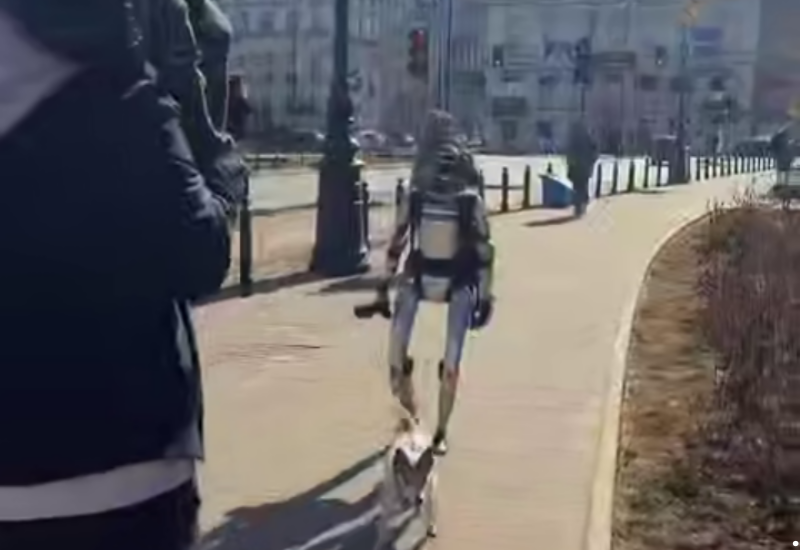 Роботы начали выгуливать собак