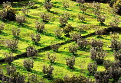 ЕС предупреждает о риске продовольственного кризиса