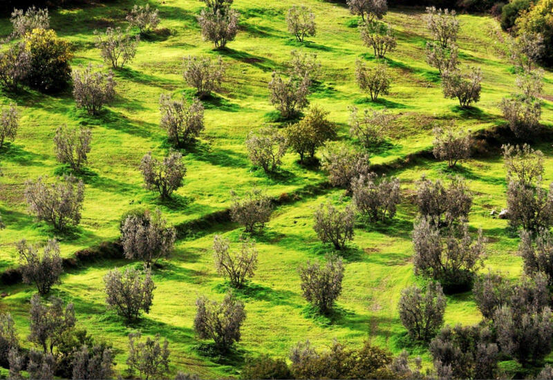 ЕС предупреждает о риске продовольственного кризиса