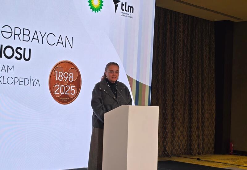 Назван объем привлеченных в производство фильмов в Азербайджане инвестиций