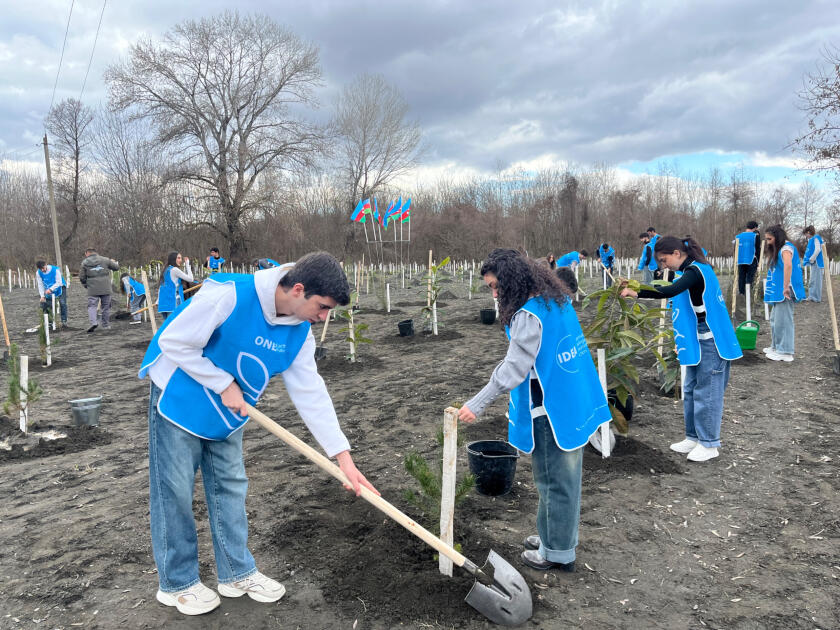 IDEA-nın aksiyası zamanı Zaqatalada 800-dən çox ağac əkilib
