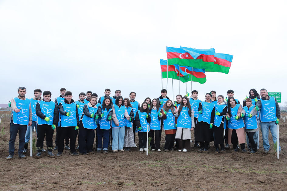 IDEA-nın aksiyası zamanı Şəki və Qəbələdə 1500-ə yaxın ağac əkilib