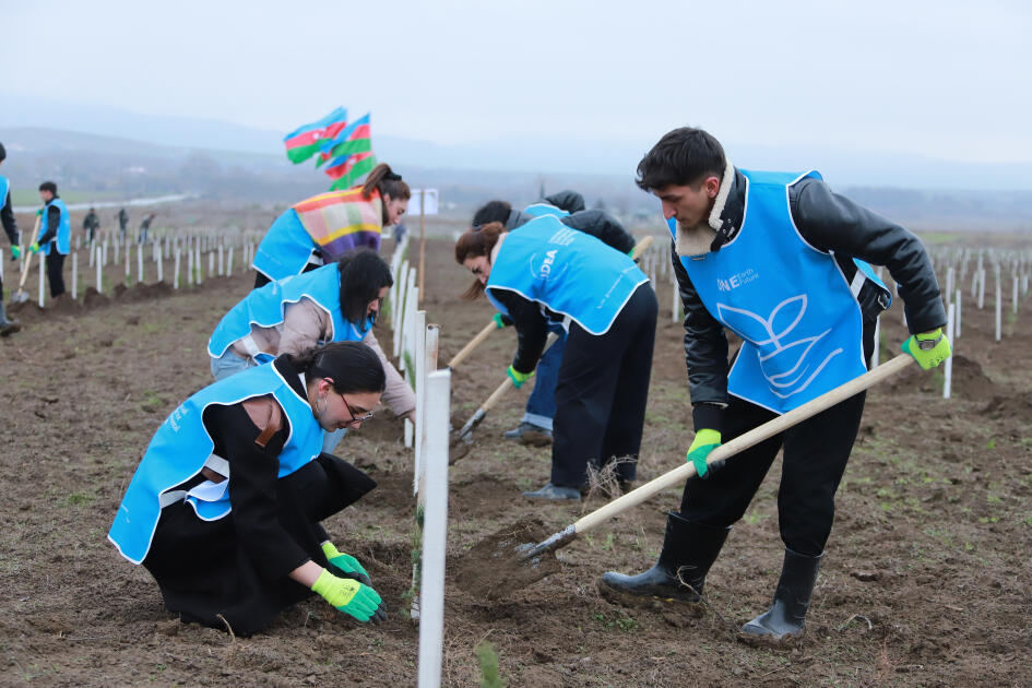 IDEA-nın aksiyası zamanı Şəki və Qəbələdə 1500-ə yaxın ağac əkilib