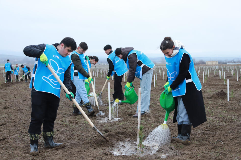 IDEA-nın aksiyası zamanı Şəki və Qəbələdə 1500-ə yaxın ağac əkilib