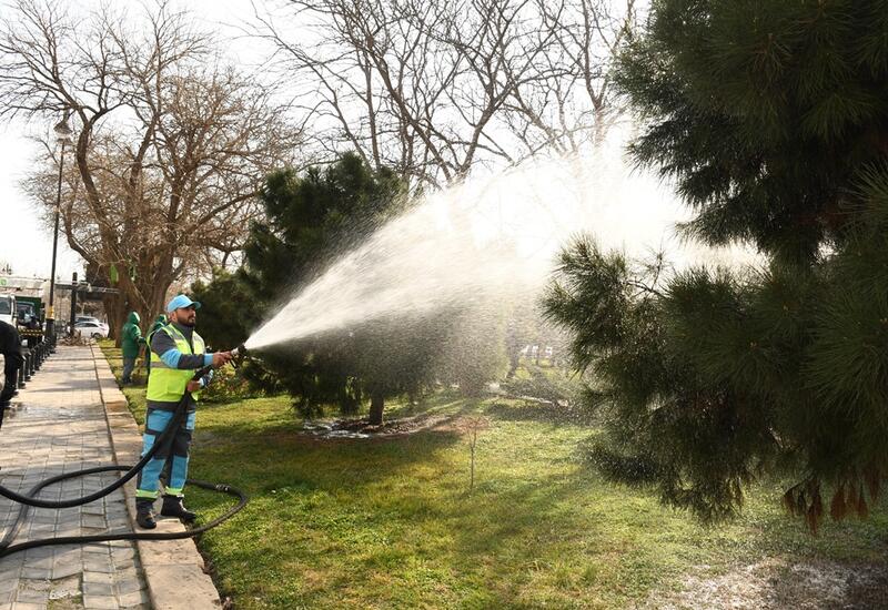 В Баку провели масштабную уборку в преддверии Новруза