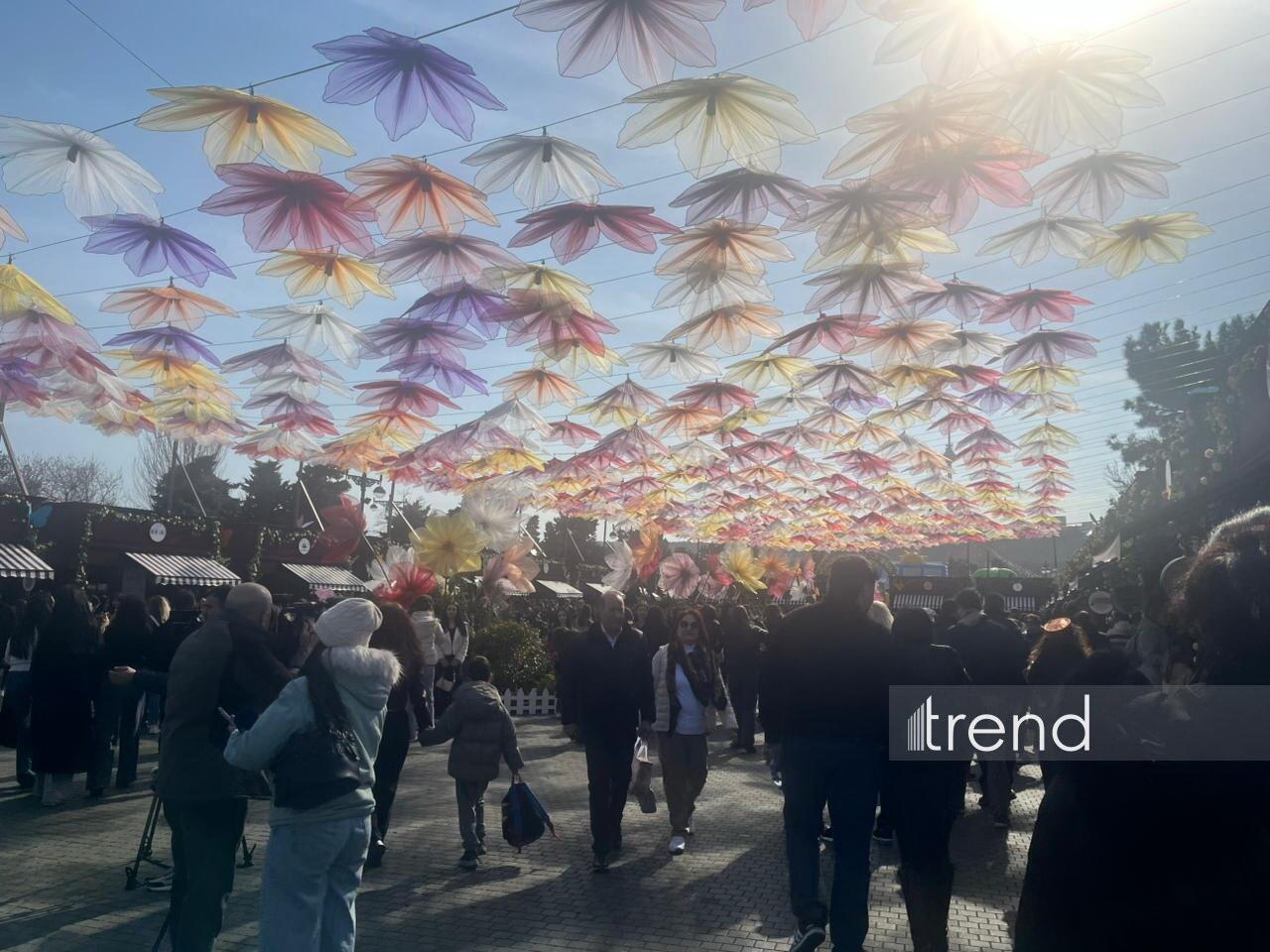 Bulvarda Novruz ənənələri və baharın təravətini əks etdirən fotokünclər təşkil edilib