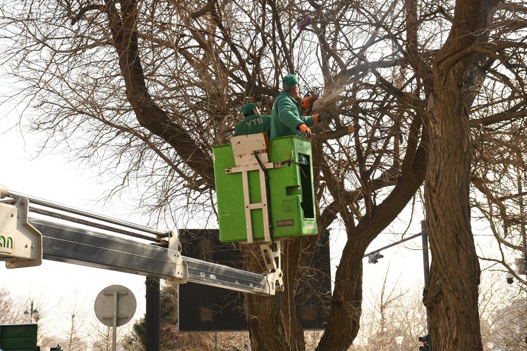 В Баку провели масштабную уборку в преддверии Новруза