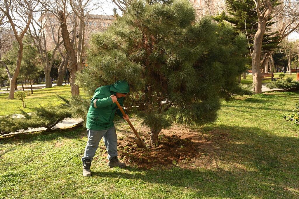 В Баку провели масштабную уборку в преддверии Новруза