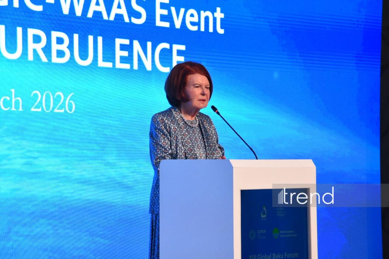 В рамках XIII Глобального Бакинского форума проходят дополнительные сессии