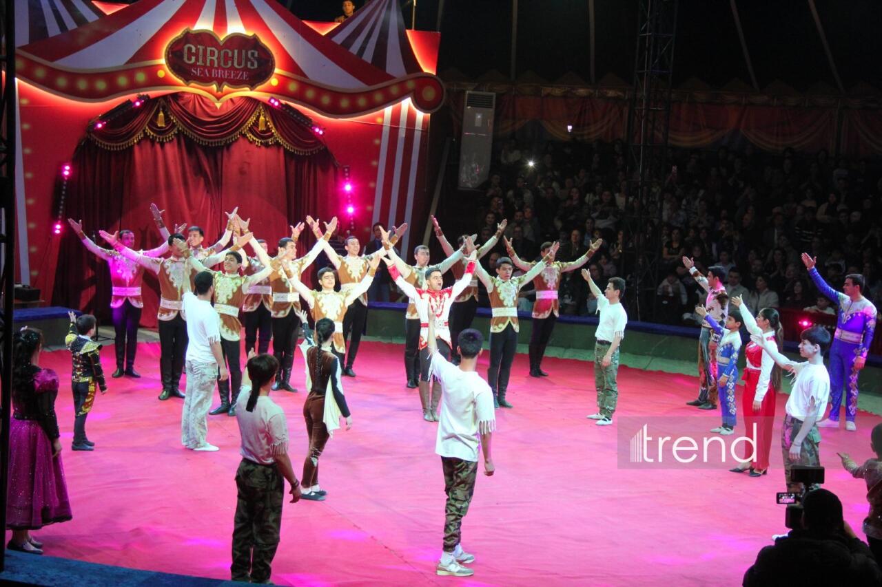 Впервые в Баку легендарное конное шоу "Галкыныш" из Туркменистана - перформанс в Circus Sea Breeze