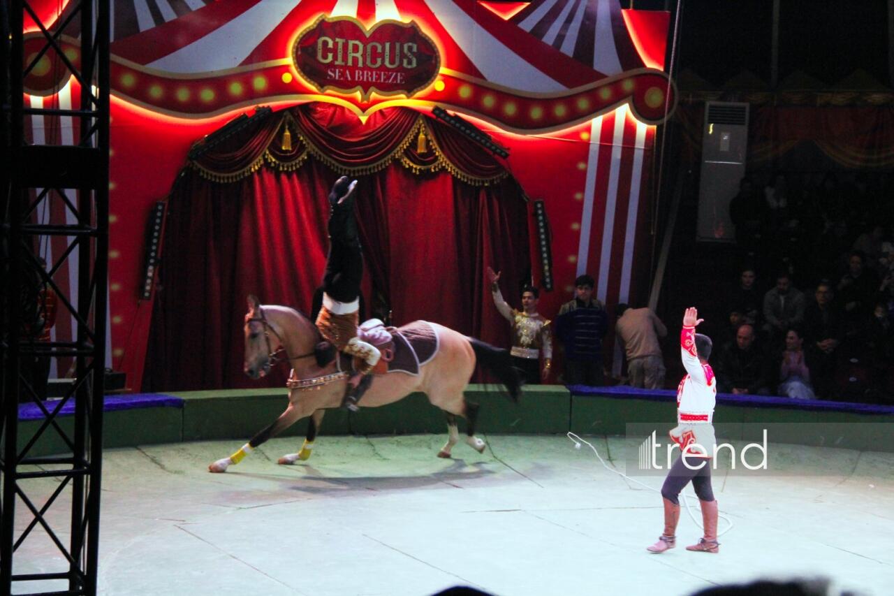 Впервые в Баку легендарное конное шоу "Галкыныш" из Туркменистана - перформанс в Circus Sea Breeze